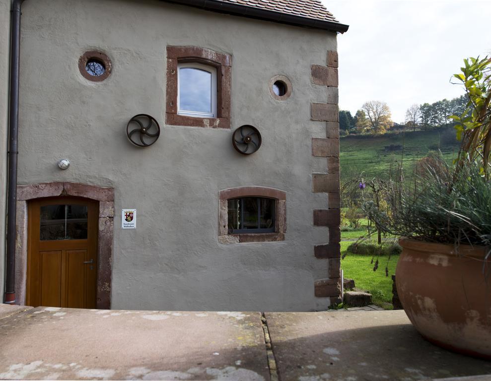 Landgrafen-Muehle Wallhalben Exterior foto