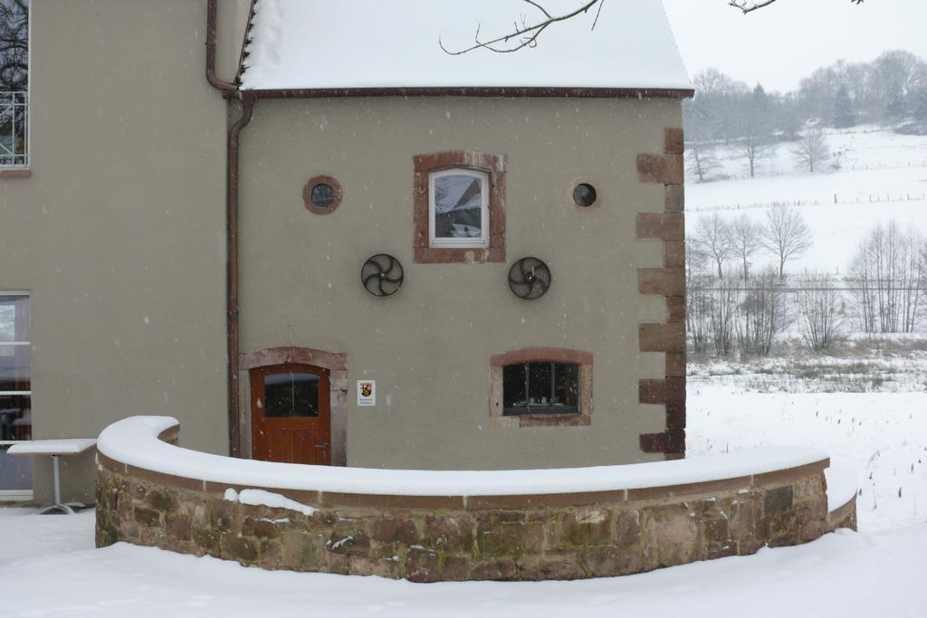 Landgrafen-Muehle Wallhalben Exterior foto